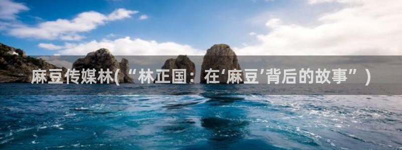 麻豆全集：麻豆传媒林(“林正国：在‘麻豆’背后的故事”)