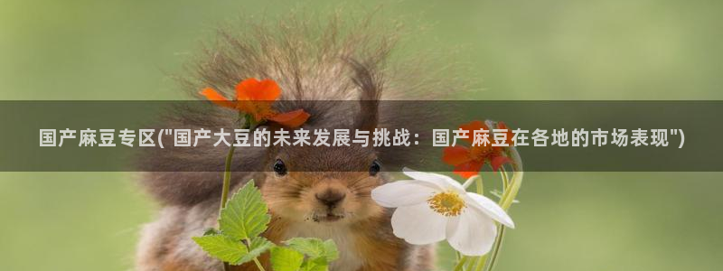 wwav麻豆专区：国产麻豆专区(\