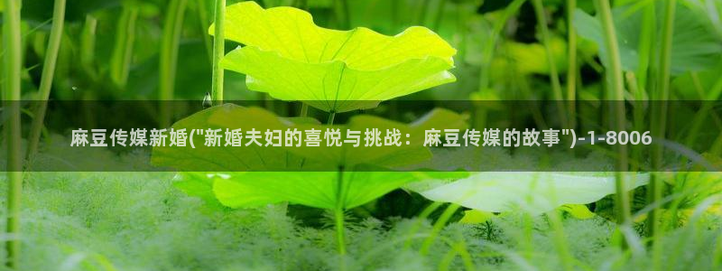 91蜜桃麻豆专区：麻豆传媒新婚(\