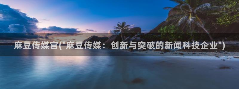 麻豆国产av专区：麻豆传媒官(\