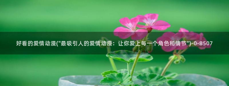 后宫动漫