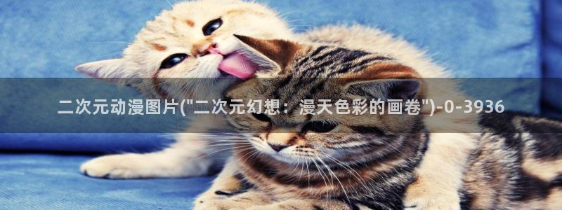 58动漫网