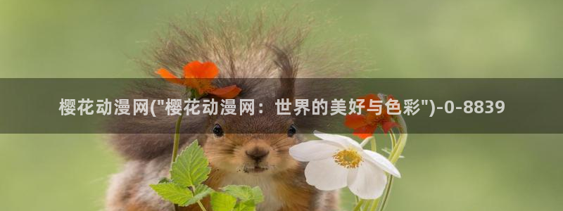 斗破苍穹动漫免费观看