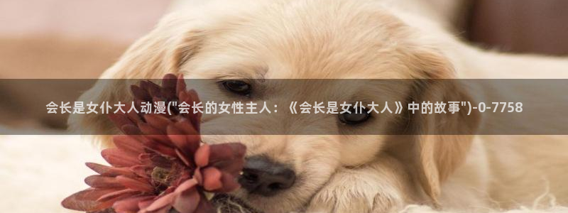 雪鹰领主动漫