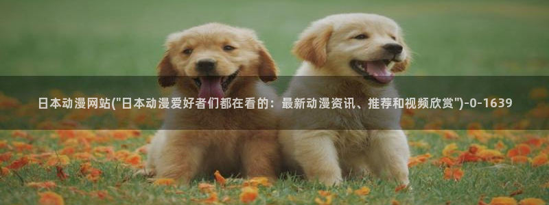 武动乾坤动漫