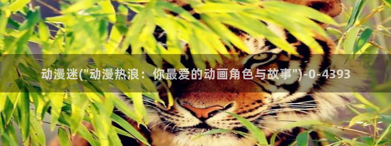 没有钱动漫